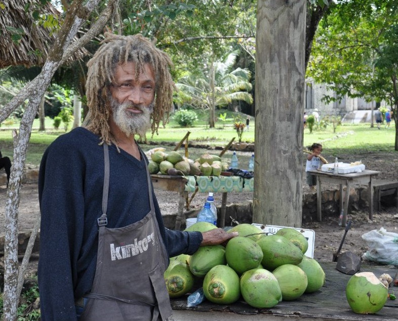 Selling fresh coconuts in Belize