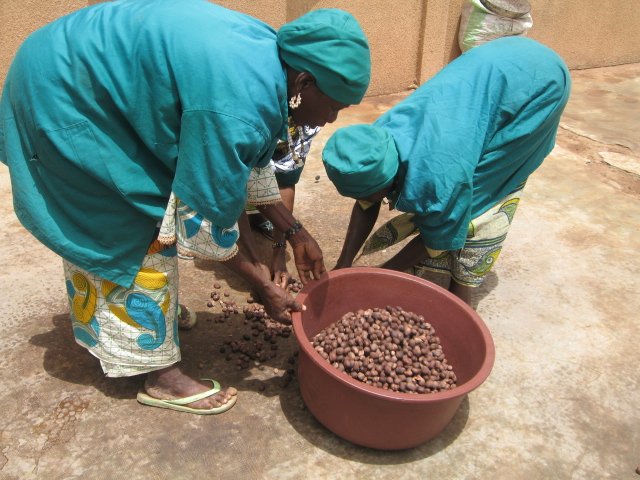 women sorting shea nuts at a local cooperative during my 2010 trip to Mali