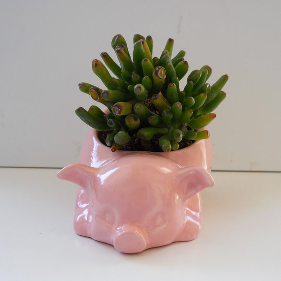 Pink pig planter. So fun! By Fruit Fly Pie Ceramics.