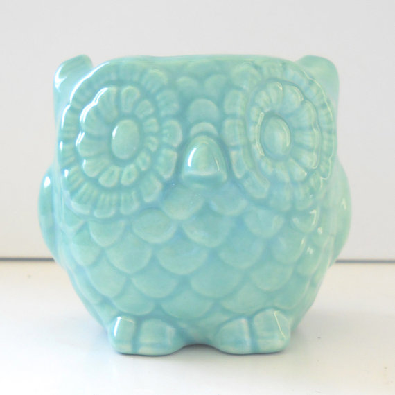 Ceramic Owl Planter handmade by Wending of Fruit Fly Pie Ceramics.