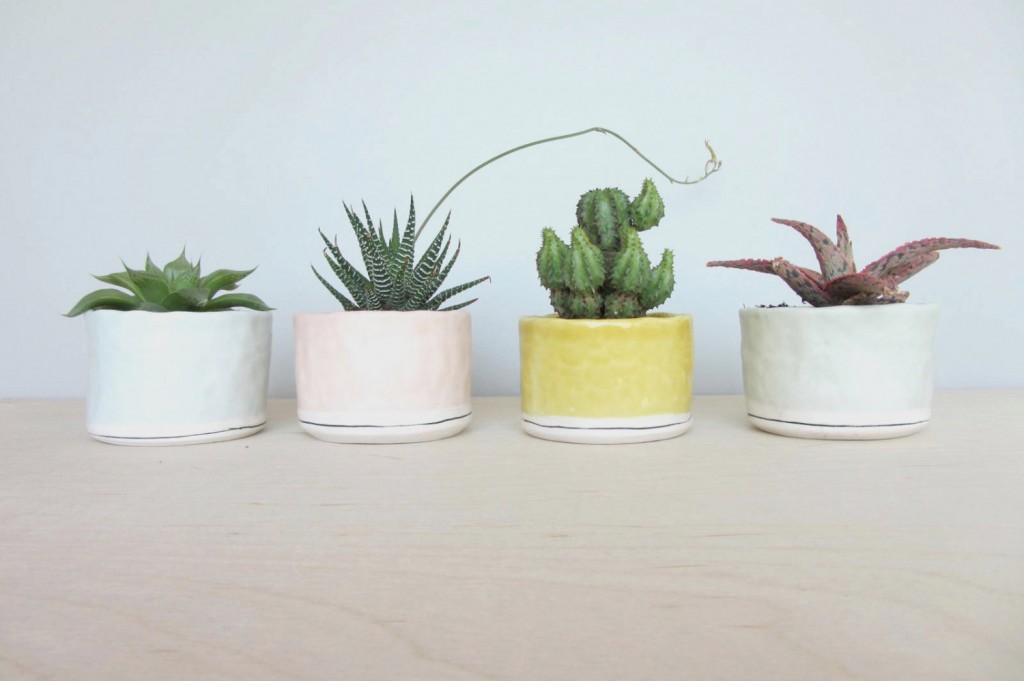 Pinched Porcelain Cup Planters in a trio of gorgeous colors. Find yours Elizabeth Benotti Handmade Ceramics.